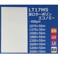 厚口ターポリンエコノミー（防炎）