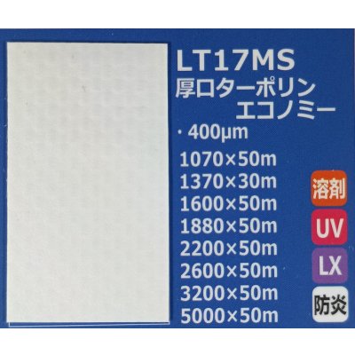 画像1: 厚口ターポリンエコノミー（防炎）