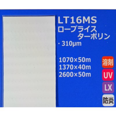 画像1: ロープライスターポリン（防炎）