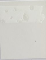 画像: 中長期ラミ　屋外耐候4年相当